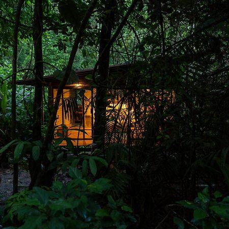 Hamadryade Lodge Puerto Misahuallí 외부 사진