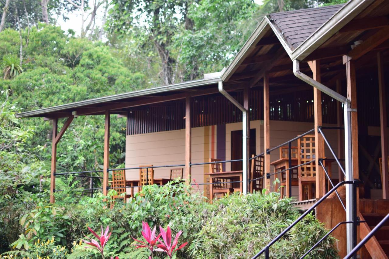 Hamadryade Lodge Puerto Misahuallí 외부 사진