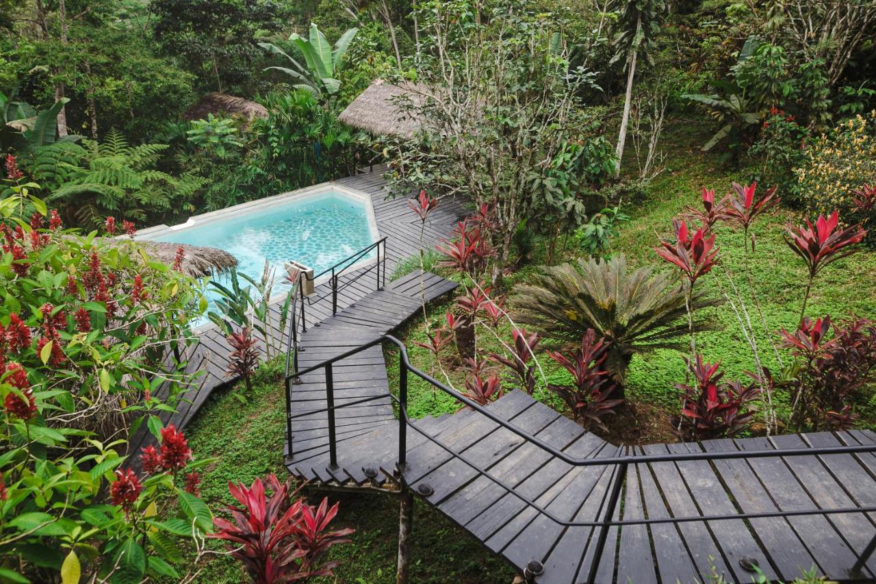 Hamadryade Lodge Puerto Misahuallí 외부 사진