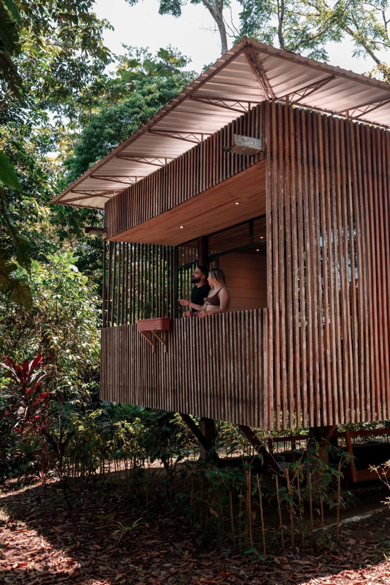 Hamadryade Lodge Puerto Misahuallí 외부 사진