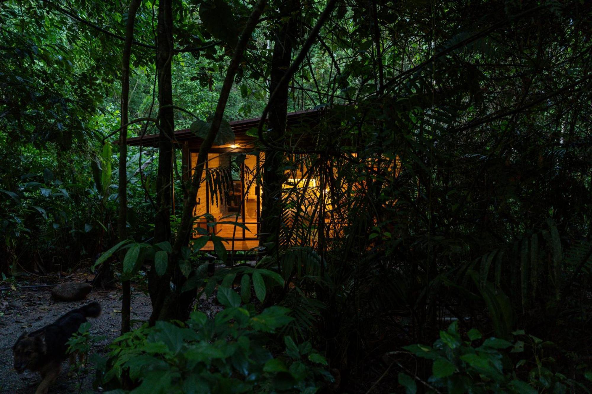 Hamadryade Lodge Puerto Misahuallí 외부 사진